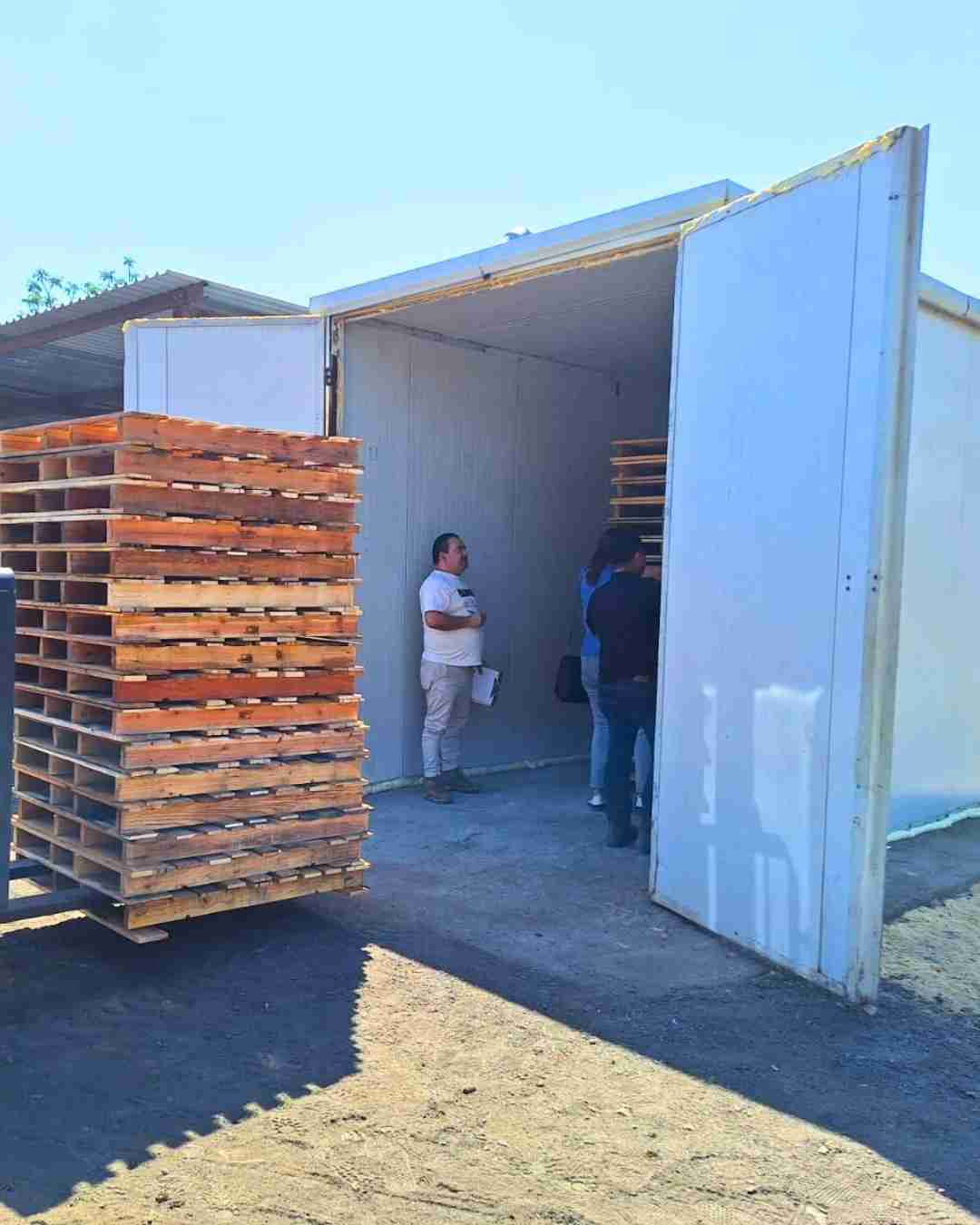 Horno para tarimas TX3 puertas abiertas